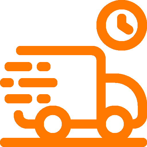 express delivery